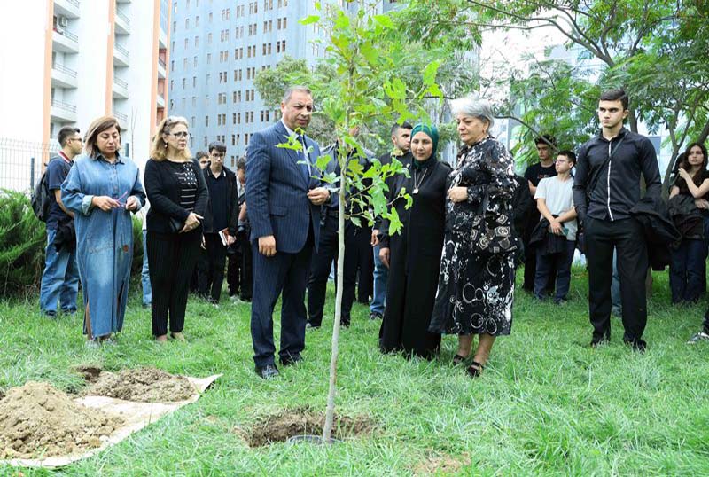 UNEC-də kök salan şəhidlər: Onların xatirəsi Xan çinarla əbədiləşdirildi | VİDEO